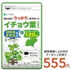 サプリ サプリメント イチョウ葉エキス　約1ヵ月分 DHA EPA フラボノイド配糖体24％以上 テルペンラクトン6％以上